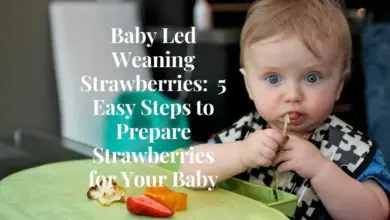 Photo of Baby Led Weaning Strawberries:  5 Easy Steps to Prepare Strawberries for Babies