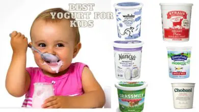 Photo of The Best Yogurt For Kids: 13 Amazing Healthy Choices For Toddlers