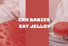 Photo of Can Babies Eat Jello? Your A-Z Guide on Babies Having Jello