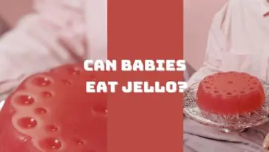 Photo of Can Babies Eat Jello? Your A-Z Guide on Babies Having Jello