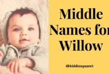 Photo of The Best 120 Middle Names for Willow