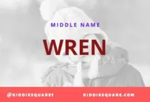 Photo of 200+ Awesome Middle Names for Wren